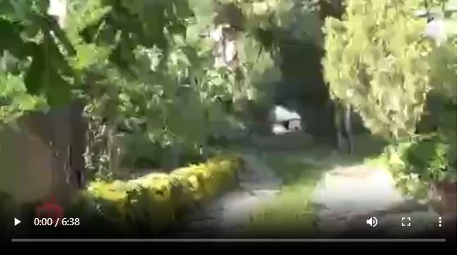 پخش کننده فایل ویدیویی